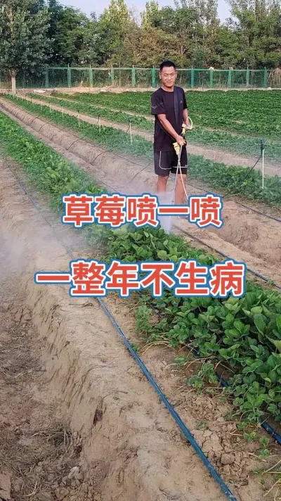 育苗用上它，州病害不入侵#我的墟落生涯 #农业莳植 #三农