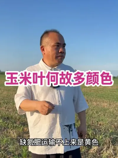 ҶԶɫ ݪֲıɫԵԭ  ͨԲ  ʴ䲻  ׷ʴ䲻  пʴ䲻  طʵò  ̷䲻Ҷ  ͭȱҲ