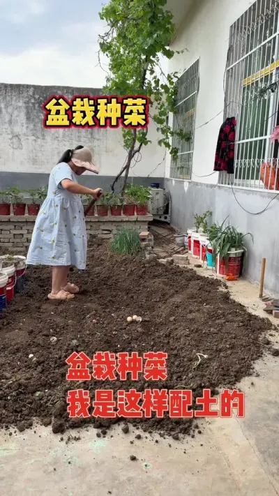 媳妇种菜种上瘾了，菜地不够种又收集很多桶来盆栽，为了媳妇的田园梦，老公下班后都会来帮忙，非常卖力帮忙翻土配土，这一期就毫无保留的分享给大家我是如何盆栽配土的#盆栽 #土壤改良 #种植小技巧 #强迫症治