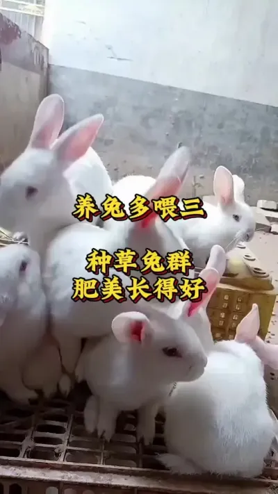 öιֲȺú#¸ #ָ #ֳշ ##ֳ