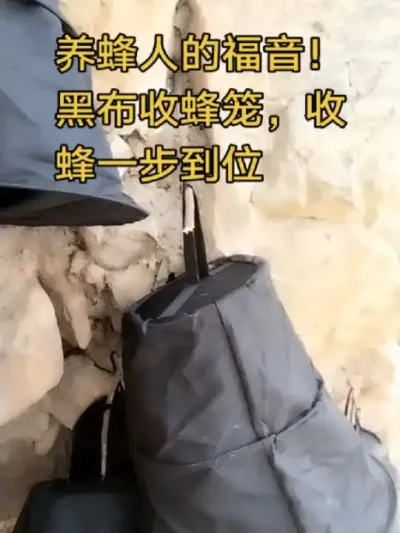 #内容启发搜索 #谌蜜 #收蜂#收蜂笼 #黑布收蜂笼 ，养蜂人的福音！黑布收蜂笼，收蜂一步到位@抖音小助手 @DOU+小助手