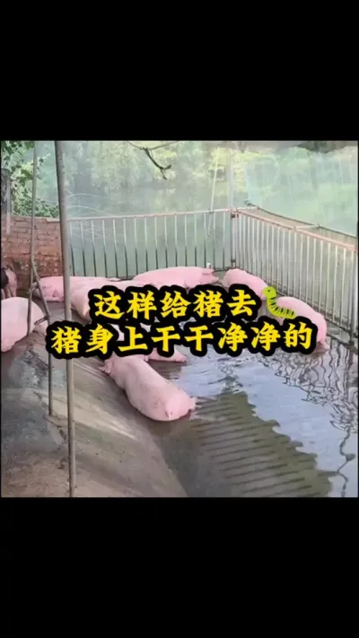 #˼͸ # #ιʲôϳ #