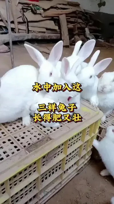 ˮмӳ÷׳###շ#ű