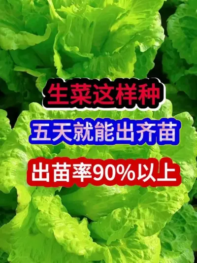 ܳ90% #ݪֲ #ũҵݪֲ #ݪֲС #ũ #ũҵ֪ʶũ
