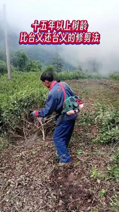 # ޼̨곤׳#޼
