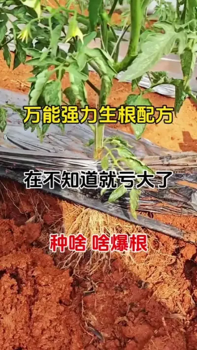 ֵ˽ص“”ѹ棡#׳ # #䷽