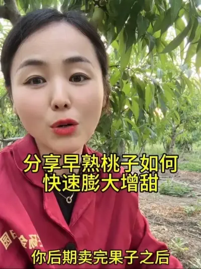 膨果增甜 分享一个我家用了几年的冲施肥，果子成熟前10-15天冲都可以#分享农业植保技术知识传播正能量 #果树管理 #果树种植管理