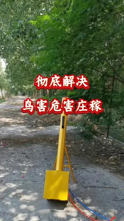 农业种植 彻底解决鸟害危害庄稼 #驱鸟神器 #西瓜种植 #西瓜管理 #驱鸟