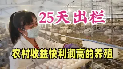 农村致富养殖，25天就可卖，1年可卖10次，1年出栏3000 #三农养殖 #农村致富好项目 #返乡创业新农人 #鸽子养殖