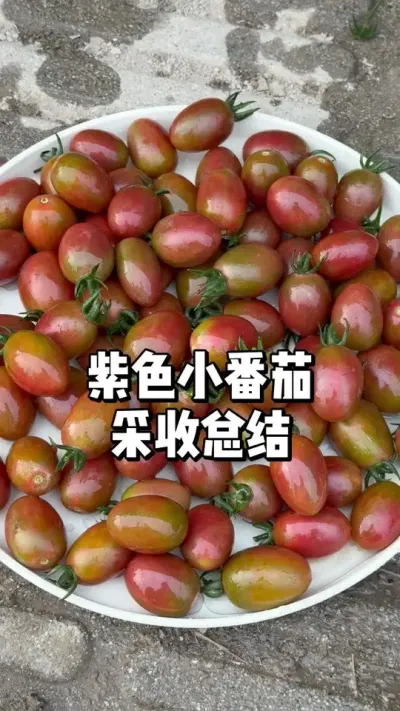 ɫСѲգȺͷϺͻ #ũ #˶