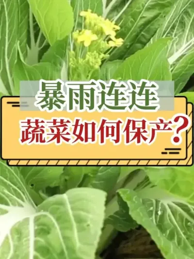 ߲ #߲ #Ϲ߲ #ũ2025 #ũ #ũ֧ũ