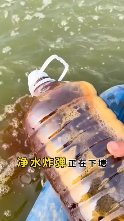 净水炸弹正在下塘，只需三天就让你水质恢复清澈见底。#鱼虾蟹养殖 #河蟹养殖 #螃蟹养殖 #三农 #粪净肽 @DOU+小助手