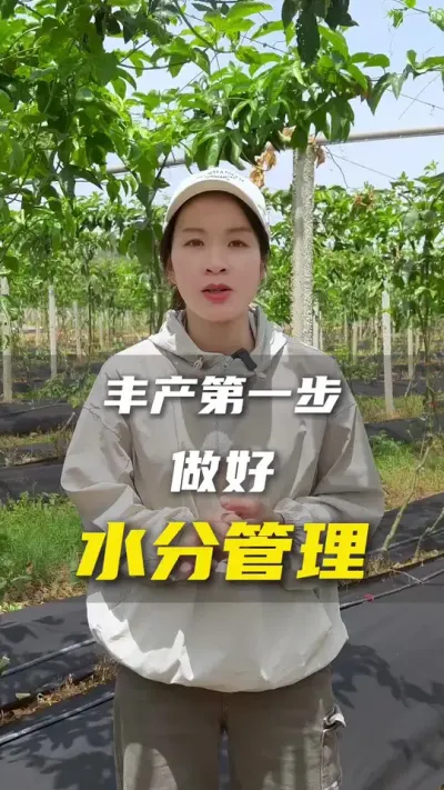 土地的水肥气热之水分管理前#百香果#百香果种植技术#农业种植#抖音助农#三农