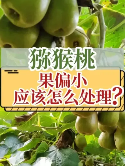 ⨺ҹƫСӦôóͷ #⨺ # #ϸ #ũ2025 #ũ
