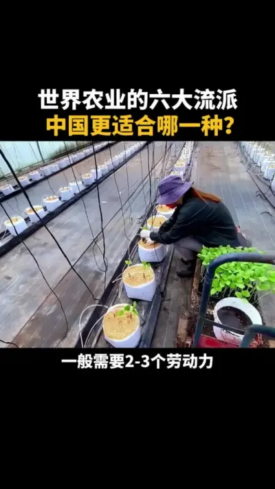 中国适合哪一种？ #农业 #三农 #农村 #种植 #农场