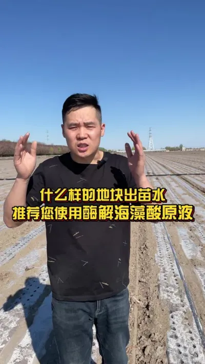 什么样的地块，出苗水推荐您使用沃达酶解海藻酸原液？ #海藻酸 #肥料新知识 #棉花种植专家讲座@抖音小助手