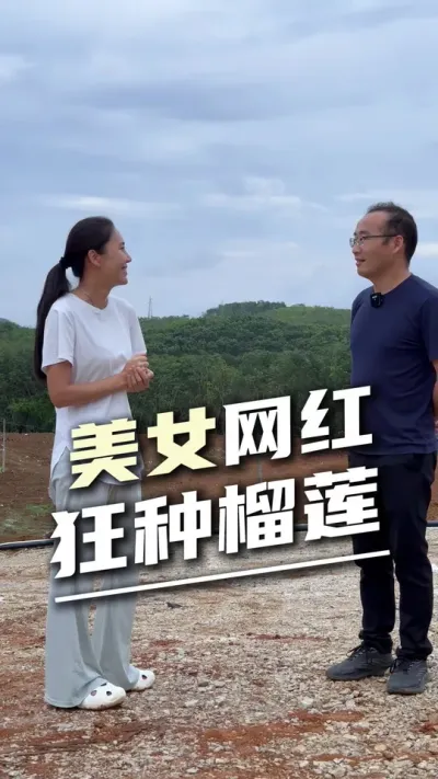 美女网红在西双版纳狂种榴莲#榴莲种植 #新农人 #农业转型 #水肥一体化 #设施农业