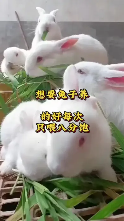 Ҫĺֻι˷ֱ##շ##ֳ