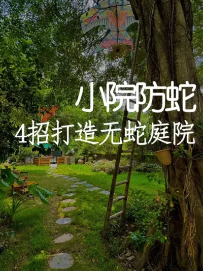 4У߱ѧ #СԺˢ #СԺʱ # #ɻ #