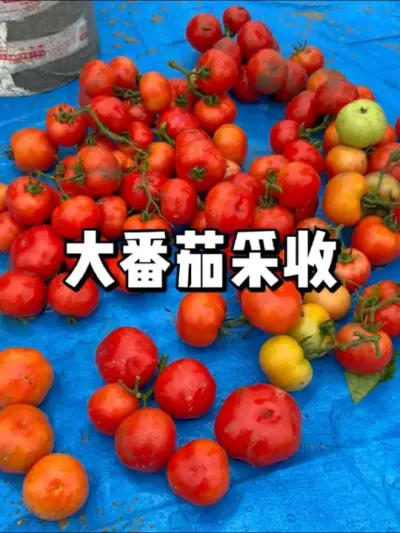 ˵شѳժһζ #ũ #