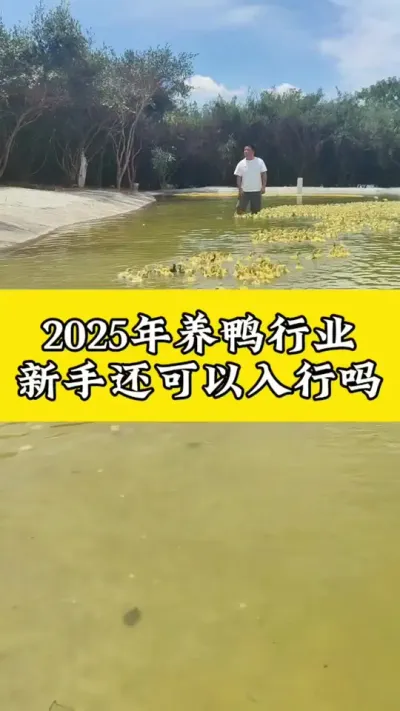 2028Ѽҵֻ#Ѽ #Ѽ #Ѽ #Ѽշ