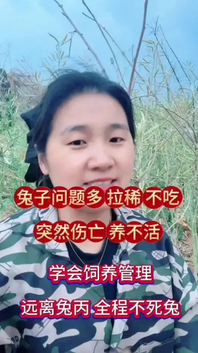 兔子问题多，养不活，养不大，关键在于饲养管理！这样喂成活率高达9成9#兔子 #养兔人 #肉兔养殖 #兔子养殖