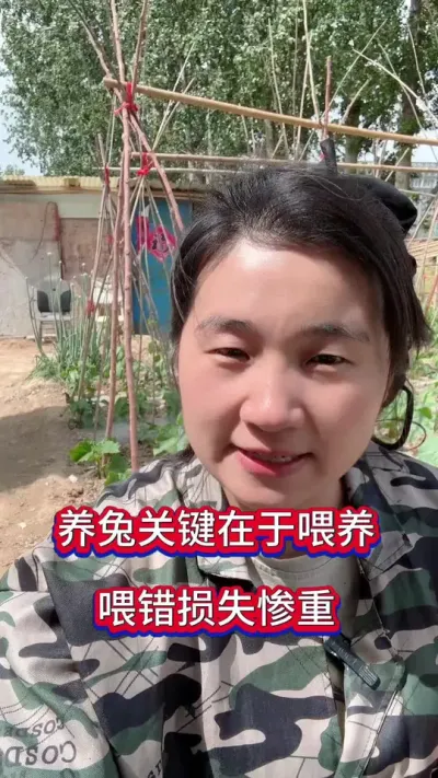 养兔喂养是关键，学会远离伤亡