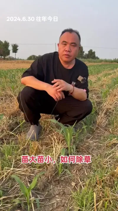 СҶ 3  ҶҲԳݣ
