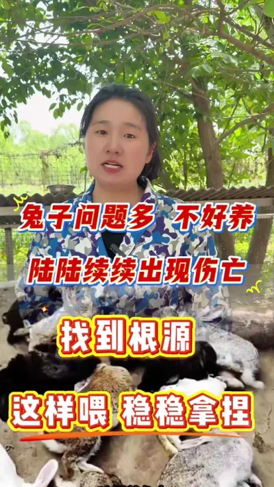 兔子问题多，不好养，养不大，养不活，找到根源，学会饲养管理，成活率高达9成9#兔子 #养兔子 #兔子养殖 #肉兔养殖 #养兔人