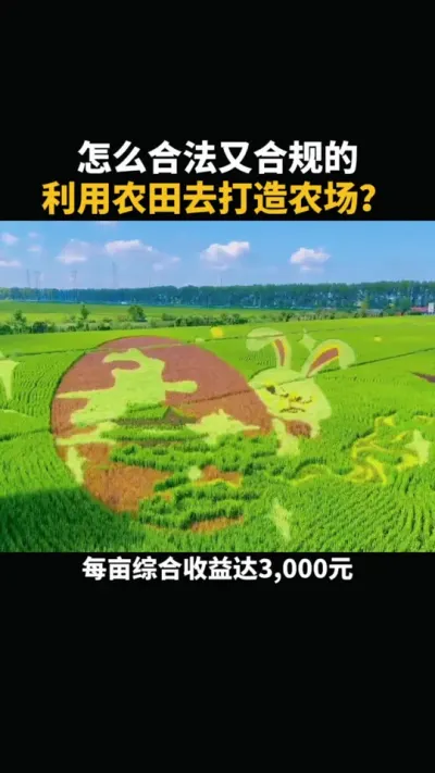 怎么合法又合规的利用农田去打造农场 #农场 #乡村振兴 #三农 #生态农场 #亲子
