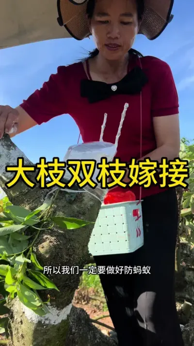 ֦˫֦޽#޽ #ũ2025 #dou㶫 #ѧũ