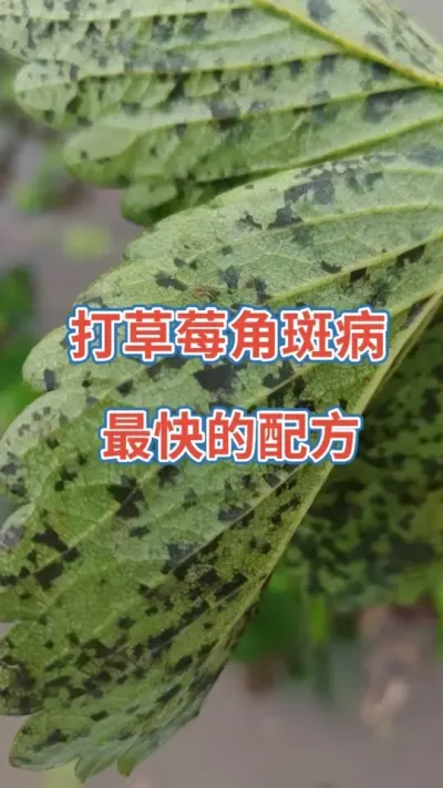 9888˹ά˹(ɷ)޹˾-ٷվ