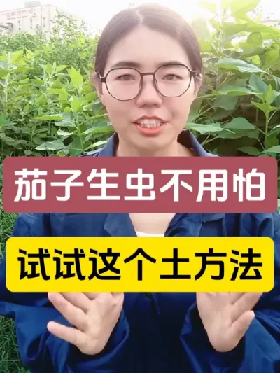 治Ҫ漻ɫ#ũҵ֪ʶũ #ũ #ũ #2024ũ #溦