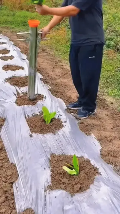 种植神器 #农业种植 #种植神器 #移苗器 #劳动人民的智慧