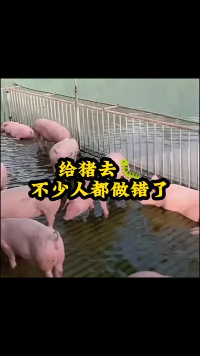 # # #˼͸ # #