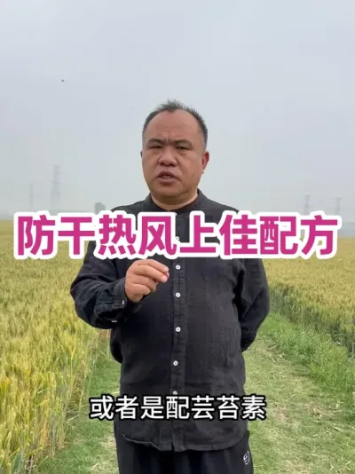 防干热风上佳配方 氨基酸有机高钾多素水溶肥是抗逆、防干热风上佳配方！不用添加磷酸二氢钾和液态氮及调节剂！#增产增收才是硬道理