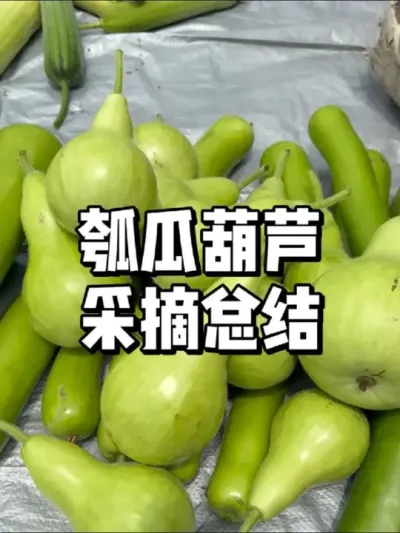 Ϻ«ռɣժڸ 
