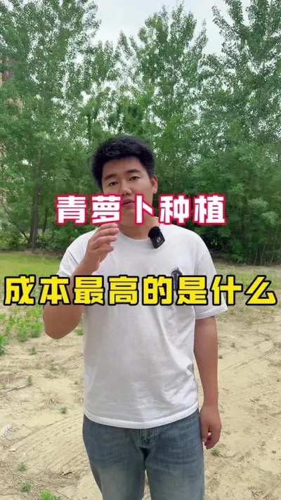 青萝卜种植 #青萝卜#分享农业知识帮农民增产增收 #新农人计划 #蔬菜种子
