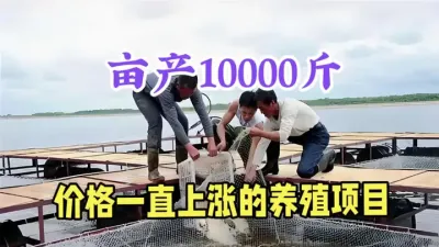 ũ屩ֳ1Ķ11Ƿ7Ԫղ #ũֳ #ũ¸Ŀ #紴ҵũ #ֳ #ˮֳ