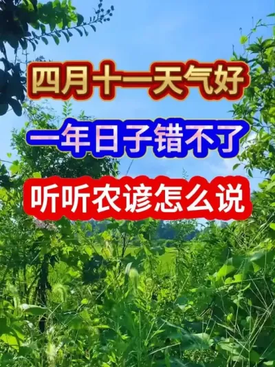 四月十一天气好一年日子错不了听听农谚怎么说 #农业谚语 #农谚 #农谚老话 #农业种植 #三农