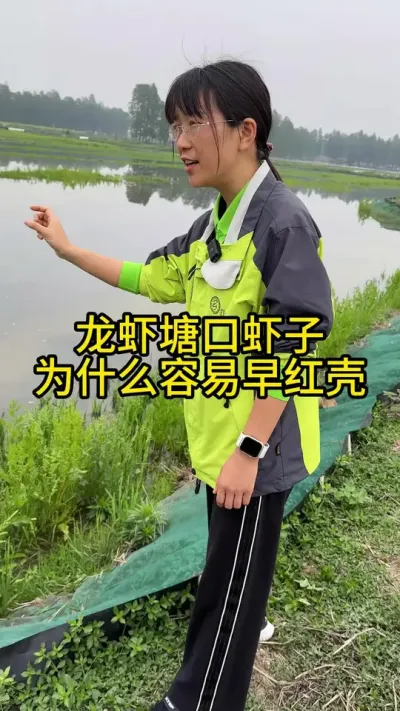 龙虾塘口虾子为什么容易早红壳！！！！ #渔多多养殖模式 #新农人计划2025 #龙虾养殖 #大闸蟹养殖 #三农