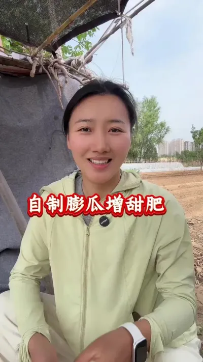 西瓜种植 自制膨瓜增甜肥 #西瓜种植 #西瓜管理 #西瓜高产