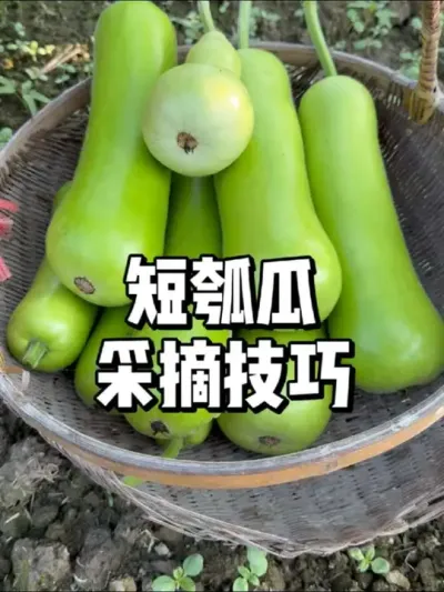 ϲժʲôʱժڸн 