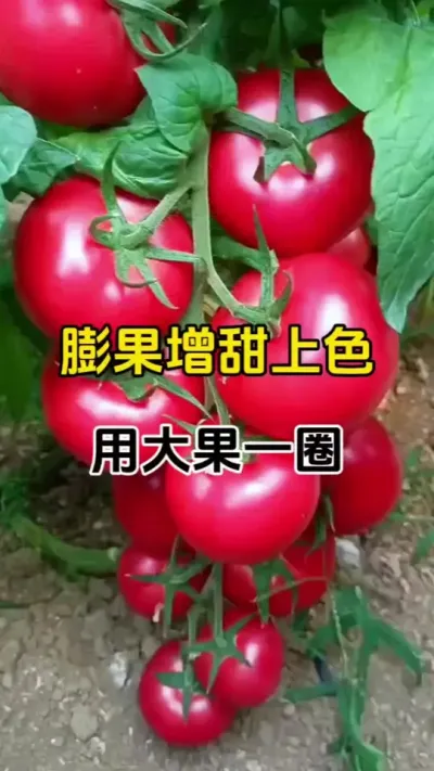 ䷽#ݪֲ # #