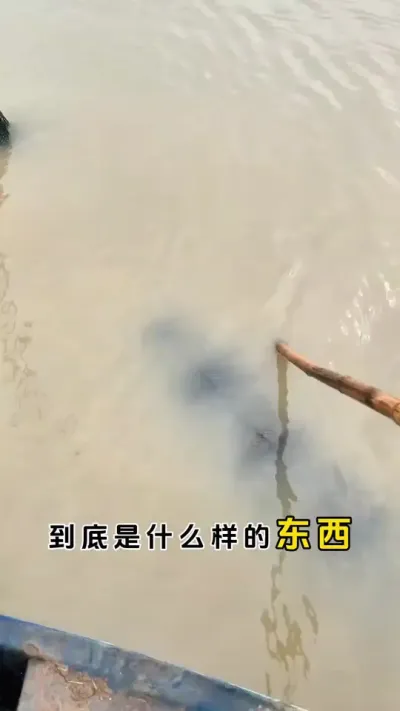 到底是什么样的东西才能让你一整年不水浑。#大闸蟹养殖 #螃蟹养殖 #鱼虾蟹养殖 #三农 #粪净肽 @DOU+小助手