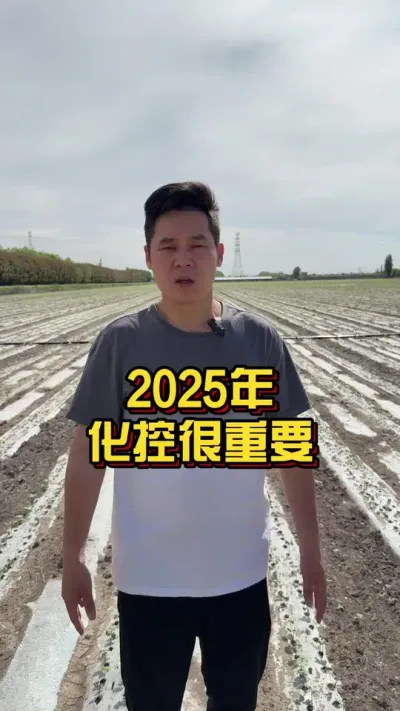 2025年化控很重要！ #棉花种植专家讲座 #棉花种植技术 #关注我每天分享种植知识 @抖音小助手