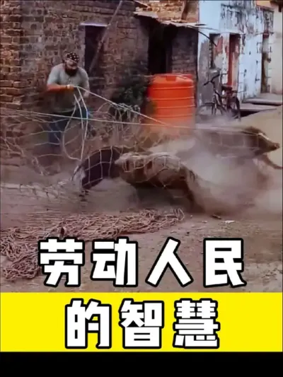 #劳动人民的智慧 #神操作 #高手在民间 #三农