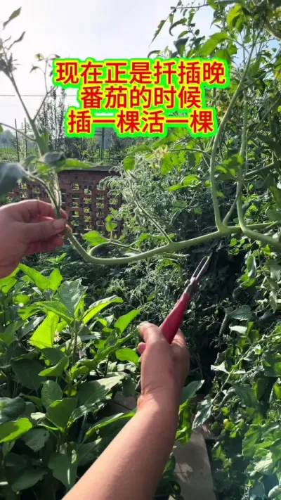 #Ǥ #Ǥ #Ǥ