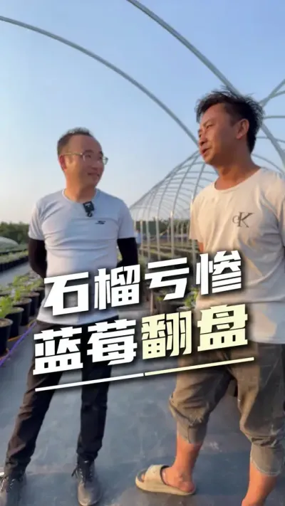长达300米的陡坡蓝莓园，如何实现水肥精准灌溉？#水肥设计 #精准灌溉 #云南蓝莓 #全自动水肥一体化
