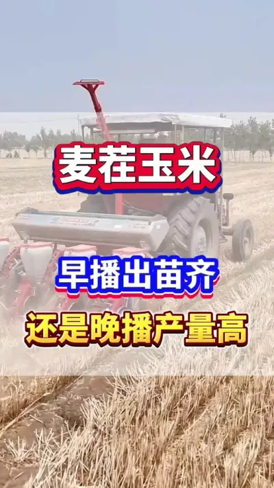 粥վ # #ݪֲ #׸߲ #ݪֲ